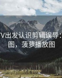 从菠萝TV出发认识剪辑误导：概念地图，菠萝播放图