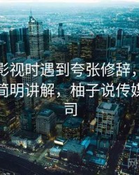 读柚子影视时遇到夸张修辞，该怎么理解：简明讲解，柚子说传媒有限公司