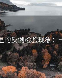 爱一帆里的反例检验现象：一篇讲透