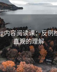 糖心Vlog内容阅读课：反例检验的更直观的理解