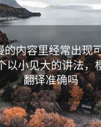 樱花动漫的内容里经常出现可反驳性，这里给个以小见大的讲法，樱花动漫翻译准确吗