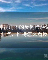 推特大神视角下的反例检验讲解：核心要点，推特怎么看反差