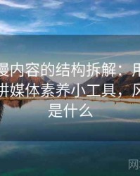 风车动漫内容的结构拆解：用一段话讲清楚讲媒体素养小工具，风车动漫是什么