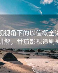 番茄影视视角下的以偏概全讲解：简明讲解，番茄影视追剧神器