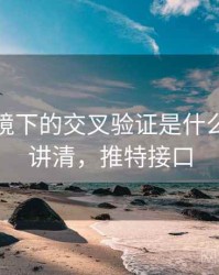 推特语境下的交叉验证是什么：一页讲清，推特接口