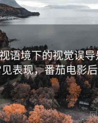 番茄影视语境下的视觉误导是什么：常见表现，番茄电影后果