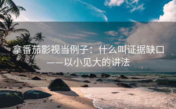 拿番茄影视当例子：什么叫证据缺口——以小见大的讲法