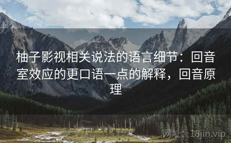 柚子影视相关说法的语言细节：回音室效应的更口语一点的解释，回音原理