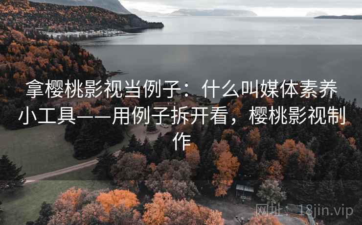 拿樱桃影视当例子:什么叫媒体素养小工具——用例子拆开看,樱桃影视制作 拿樱桃影视当例子:什么叫媒体素养小工具——用例子拆开看,樱桃影视制作
